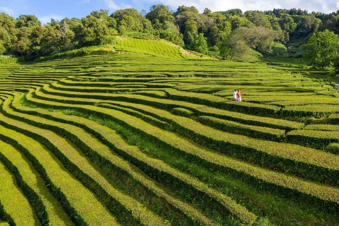 Paisagens Açores